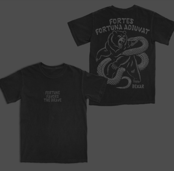 Fortune Tee - Next Level 6410 Sueded Crew - Image 2